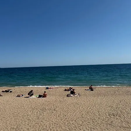 One-bedroom Ideally Located In Front Of The Midi Beaches Apartament Cannes
